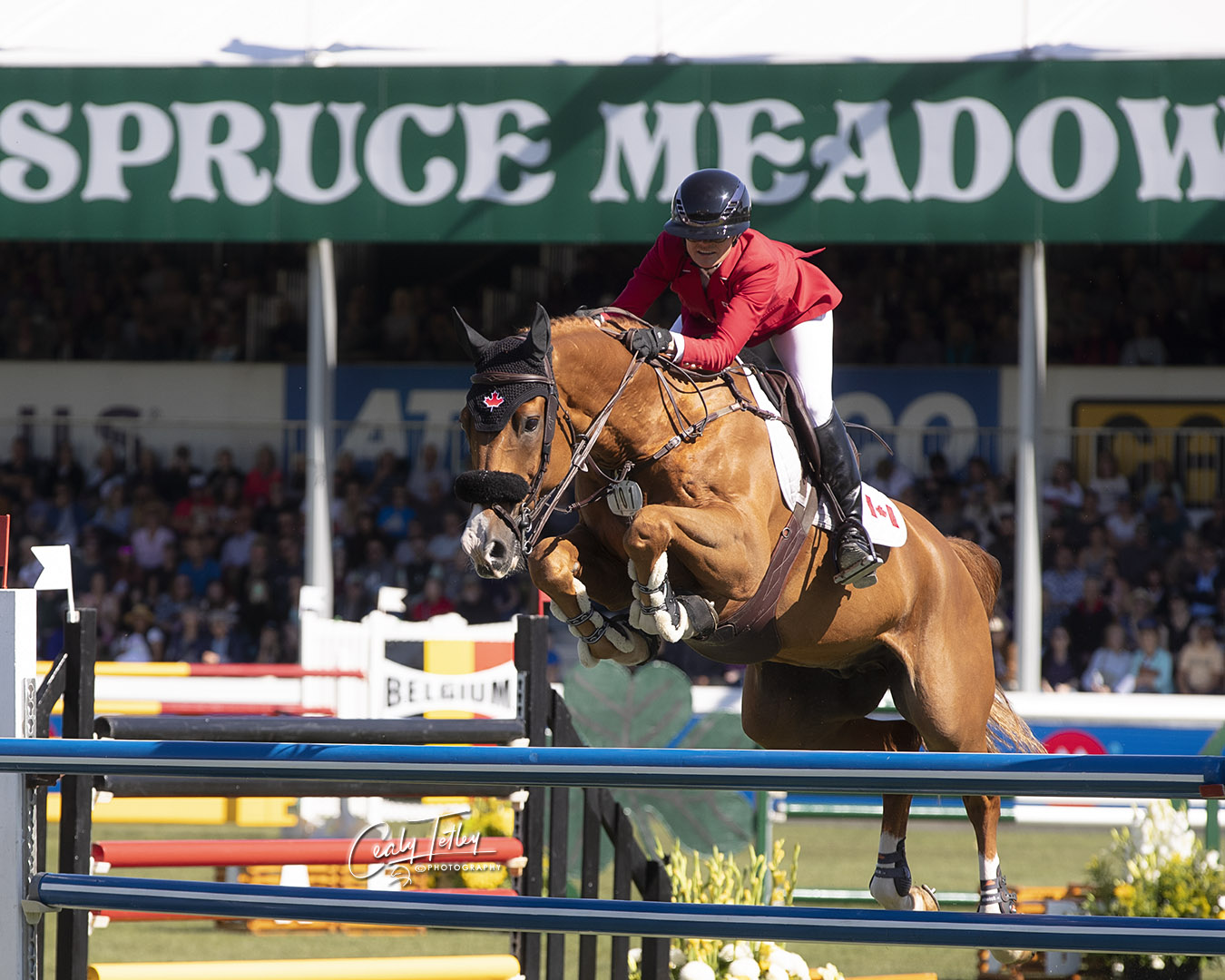 Canadian Show Jumping Team Third in BMO Nations’ Cup